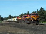 KCS 4884